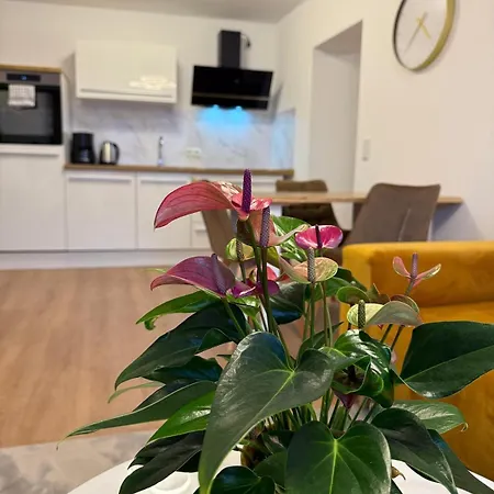 Moderne - Zentral Und Komfortabel